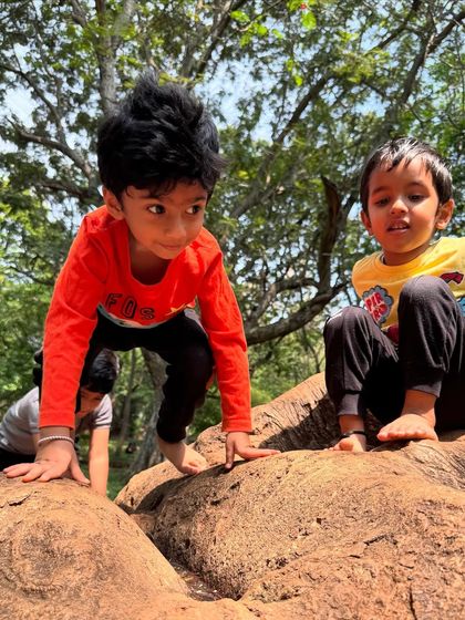 Look at the focus and determination. Our tree climbing activities are not just about physical play, they are about problem-solving and perseverance. I guide them, but the achievement is all theirs.