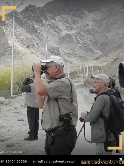 Our guests, equipped with binoculars and cameras, scan the rugged Ladakhi landscape for high-altitude birds and wildlife. We ensure every expedition is guided by experts who help you spot and identify the unique fauna of each region.