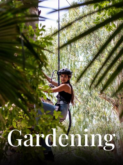 We call this "Gardening." It's actually tree climbing, but you are surrounded by a lot of green.