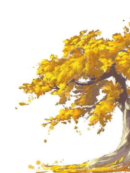 Nature's Palette photo 12