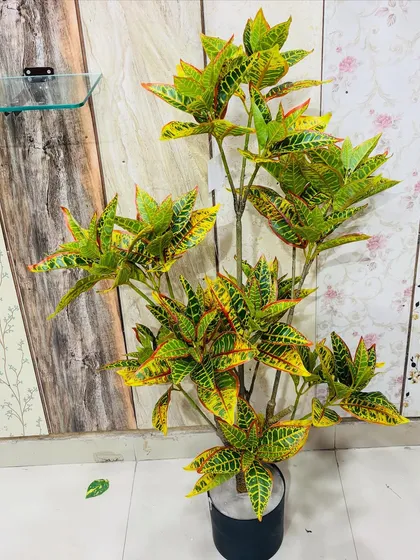 A tall artificial Croton plant with vibrant yellow and green variegated leaves, adding color and texture.