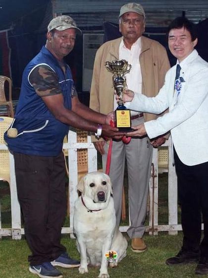 K9 Gurukul - Dog Training for Shows & Media Champions of the Show Ring photo 19