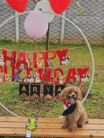 The Pawsome Camp - Dog Party & Event Hosting Pawsome Birthday Paw-ties photo 4