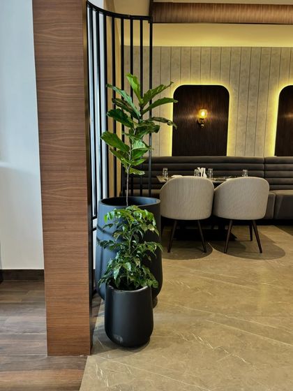 Greening Commercial Spaces photo 21