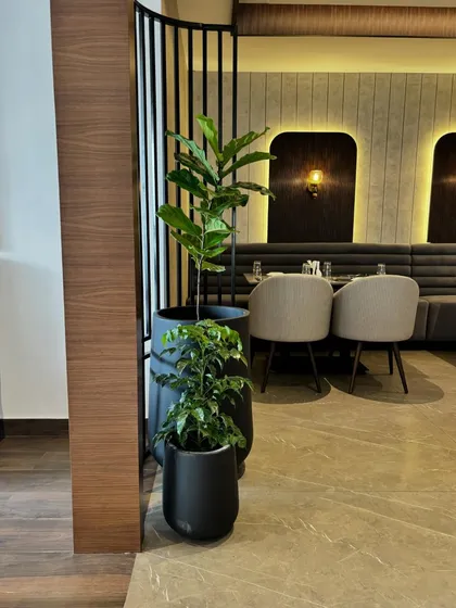 A cluster of plants in modern black pots adds a touch of sophistication to this restaurant's interior. The arrangement plays with different heights and leaf shapes, creating visual interest against the wood and metal decor.