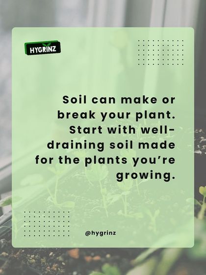 Hygrinz - Plant Sales & Gardening Supplies Gardening Tips & Plant Facts photo 6