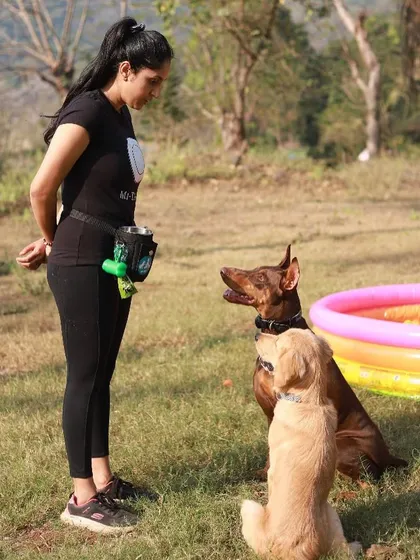 A photo from one of our training camps, working on focus and obedience with a Doberman and a Golden Retriever.