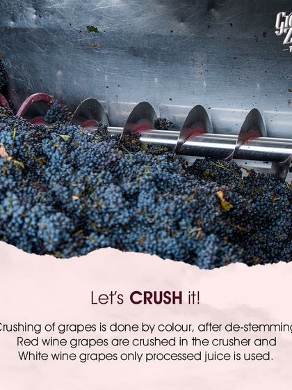 This auger, or screw conveyor, gently moves the destemmed red wine grapes into the crusher. This is the first mechanical step inside the winery, beginning the process of transforming solid fruit into liquid.