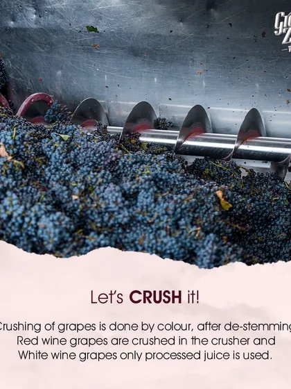 This auger, or screw conveyor, gently moves the destemmed red wine grapes into the crusher. This is the first mechanical step inside the winery, beginning the process of transforming solid fruit into liquid.