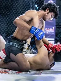 Mixed Martial Arts (MMA) Training
