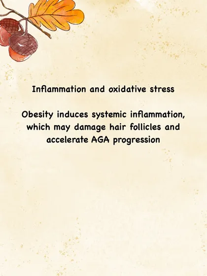 Obesity creates a state of low-grade, systemic inflammation in the body. This chronic inflammation can damage hair follicles and accelerate the progression of pattern hair loss.
