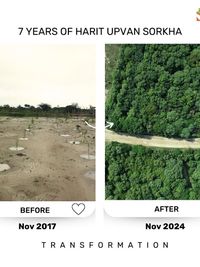 Ecosystem & Habitat Restoration