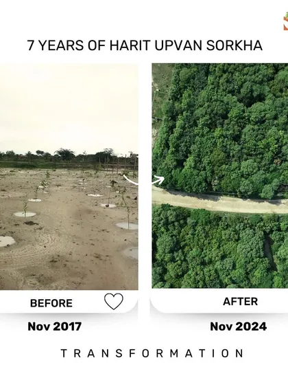 This is the proof of our patience. What was once barren ground at our Harit Upvan Sorkha site in 2017 is now a dense, self-sustaining forest. We believe in giving nature the space to heal, and this is what happens when you trust its intelligence.