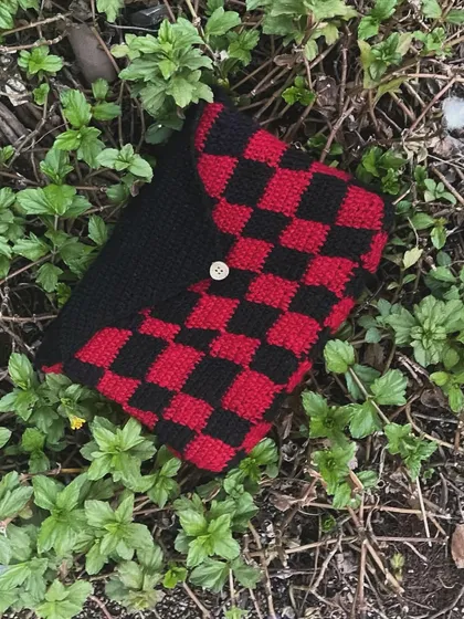 The red and black book sleeve on the ground. This pattern is super popular, and it's a stylish way to carry your current read.
