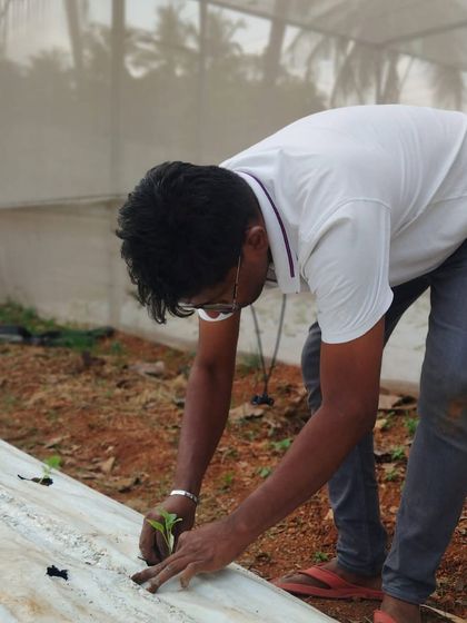 A trainee from our April 2025 one month program gets practical experience with planting seedlings. This foundational skill is crucial for starting a successful farm.