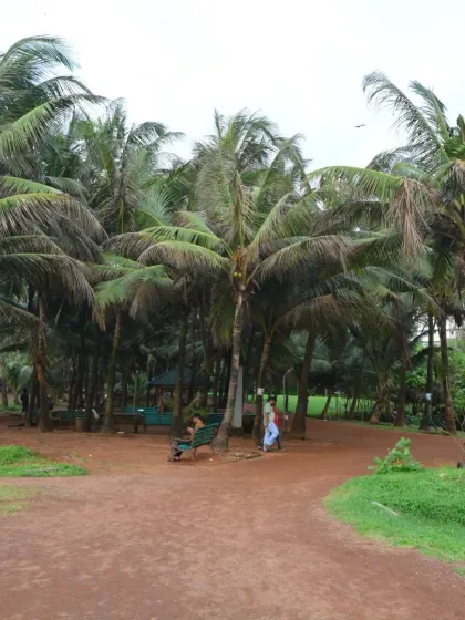 A quiet corner of the park with benches nestled under a grove of coconut trees. It is the perfect spot to rest and reflect before or after a game.