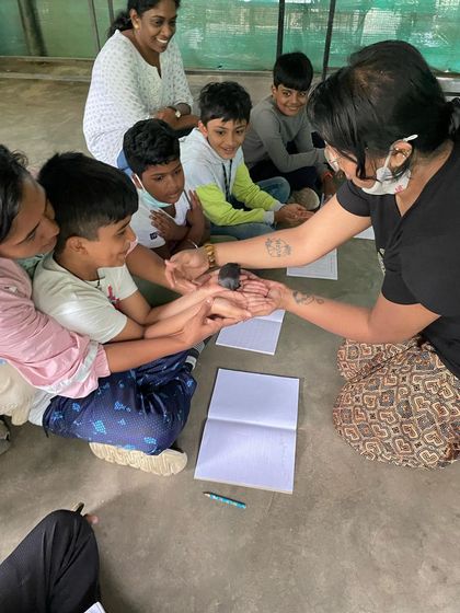 Siksha Montessori - Montessori Elementary School Program (Ages 6+) Exploring Our World: Science & Nature photo 13