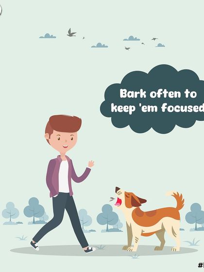 How to walk a hooman, part two: bark often to keep them focused. They get distracted easily, you know.