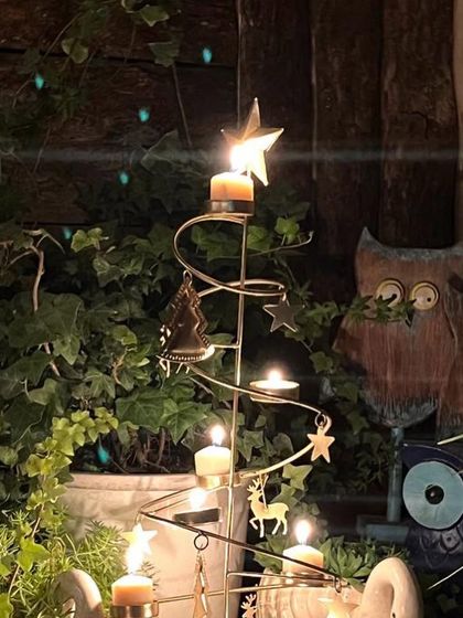 Christmas Collection: Hampers & Festive Decor photo 83