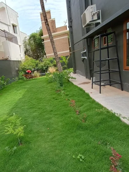 A view of a newly installed lawn in a residential side yard. I use high-quality natural grass like Buffalo grass to ensure a thick, green, and durable lawn.