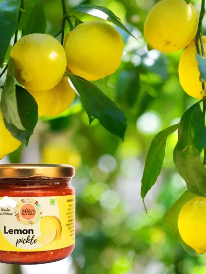 This is our Nimbu ka Achaar, made with juicy lemons. We offer both sweet-sour and spicy-tangy versions to suit your taste.