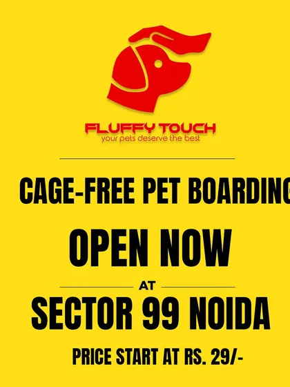 Good news for Noida pet parents! Our cage-free pet boarding facility is now open in Sector 99. We offer safe and affordable stays for all small animals, starting at just Rs. 29.