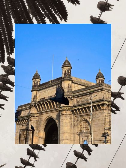A creative composition framing the Gateway of India with silhouettes of pigeons on wires.