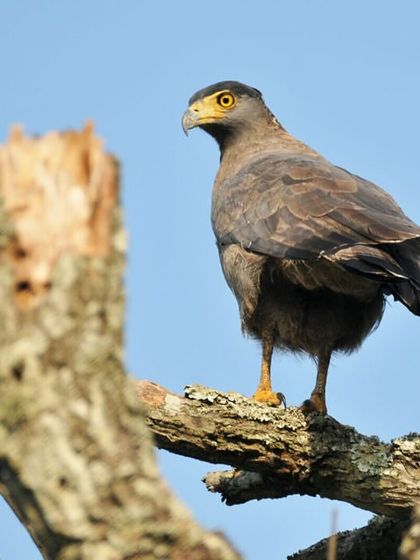 Discovery Village Resorts - Corporate & Group Outings Relaxed Pursuits & Nature Connection photo 24