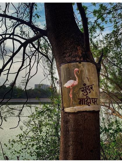 Campaigns for Change: Giving Nature a Voice photo 7