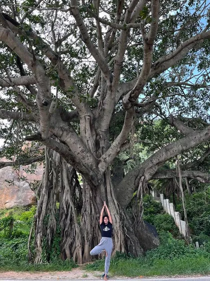 Practicing Vrikshasana, or Tree Pose, next to this magnificent banyan tree is a powerful reminder of our connection to nature. This pose is wonderful for improving balance, focus, and strengthening your legs.