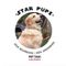 Star Pups