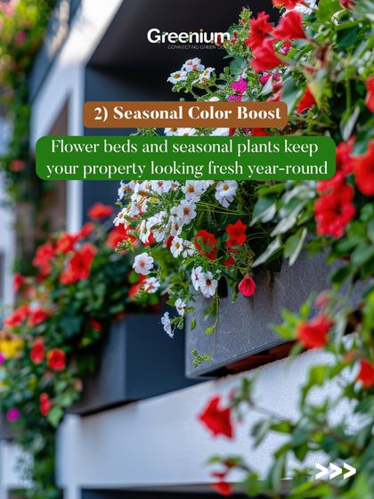 Greenium - Outdoor Landscaping & Garden Design Our Plant & Decor Collection photo 23