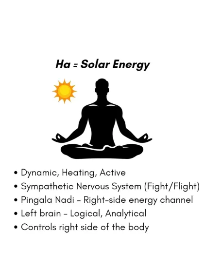 Rohit N - Yoga Teacher Training The Science of Yoga & Ayurveda photo 4