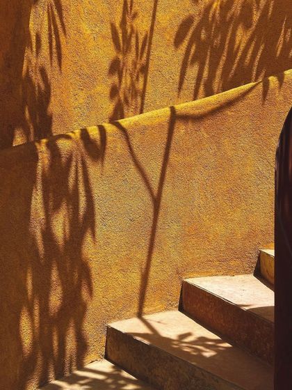 The shadows of leaves on the steps of the spiral staircase, a small, poetic moment of beauty.