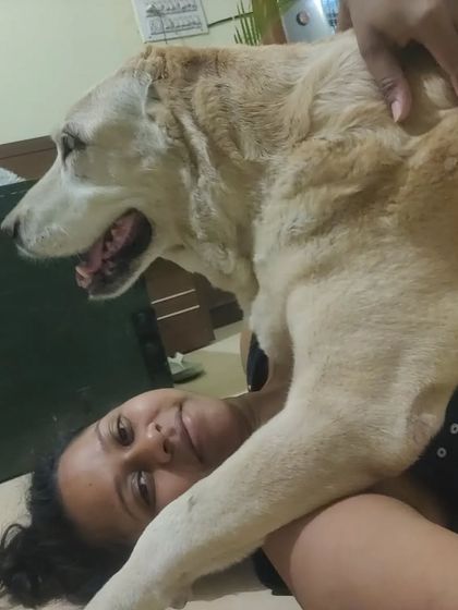 Poulomi Dhar - Dog Owner Coaching Life With My Pack photo 11