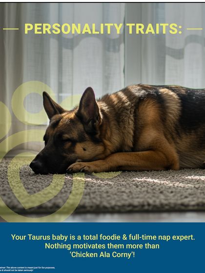 Pet Horoscope: Your Taurus baby is a total foodie and a full-time nap expert. Nothing motivates them more than a bowl of 'Chicken Ala Corny'!