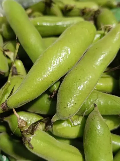 A bag of fresh green pods, possibly a type of fava bean. These are seasonal and can be used in stews or eaten as a snack.