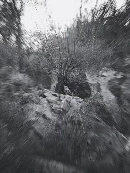 A zoom-burst effect centers the attention on an Indian Eagle Owl, creating a dynamic and abstract image that conveys a sense of focus.