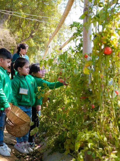 Farmus - Farm Day Out Experience Our Little Farmers: School & Group Trips photo 13