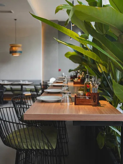 The lush, green ambiance of our Bellandur outlet, with plants separating the tables and creating a natural, relaxing atmosphere.