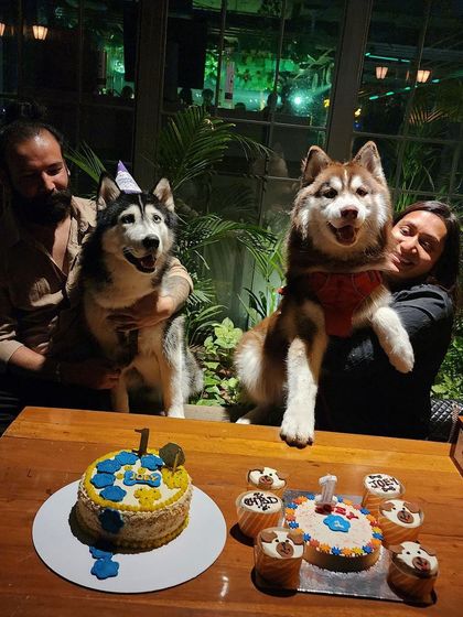 A joint birthday party for two Husky friends! We provided a main cake and matching pupcakes for all the furry guests to enjoy.