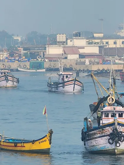 The bustling fishing harbor is a vibrant part of the coastal experience. We ride past these colorful boats as they head out to sea, a sight unique to our West Coast tour.