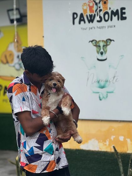 A gentle kiss for this adorable poodle mix. These moments of affection are what make our boarding feel like a real home.