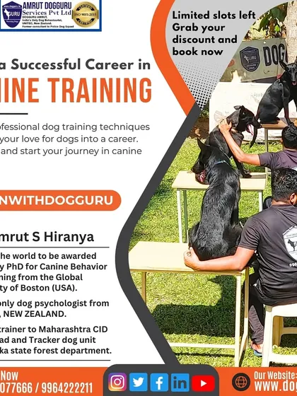 If you are ready to build a successful career in canine training, this is your path. My program gives you the certification and real-world skills to become a professional dog trainer.