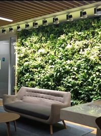 Biophilic Design & Green Space Consulting