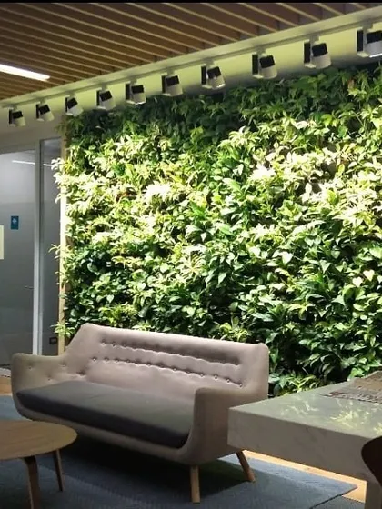 We design green walls that seamlessly integrate into your existing interior design. This installation in an office waiting area provides a calming, natural element that enhances the comfort of the space for both staff and visitors.