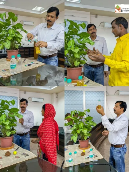 A collage showing hands-on demonstrations of indoor plant care and the use of natural fertilizers during our workshop.