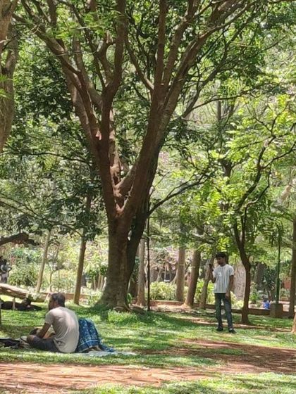 The serene and green environment of Cubbon Park, the perfect backdrop for a day of creativity.
