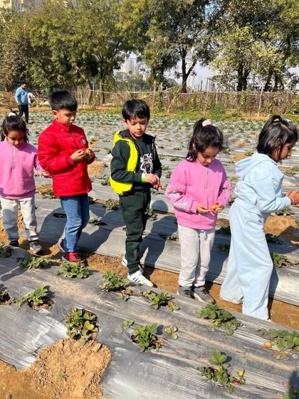 Farmus - Farm Day Out Experience The Joy of the Harvest photo 22