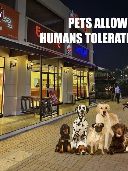 Our policy is simple: Pets allowed, humans tolerated. This humorous graphic shows a pack of dogs ready to take over, emphasizing our pet-first attitude.